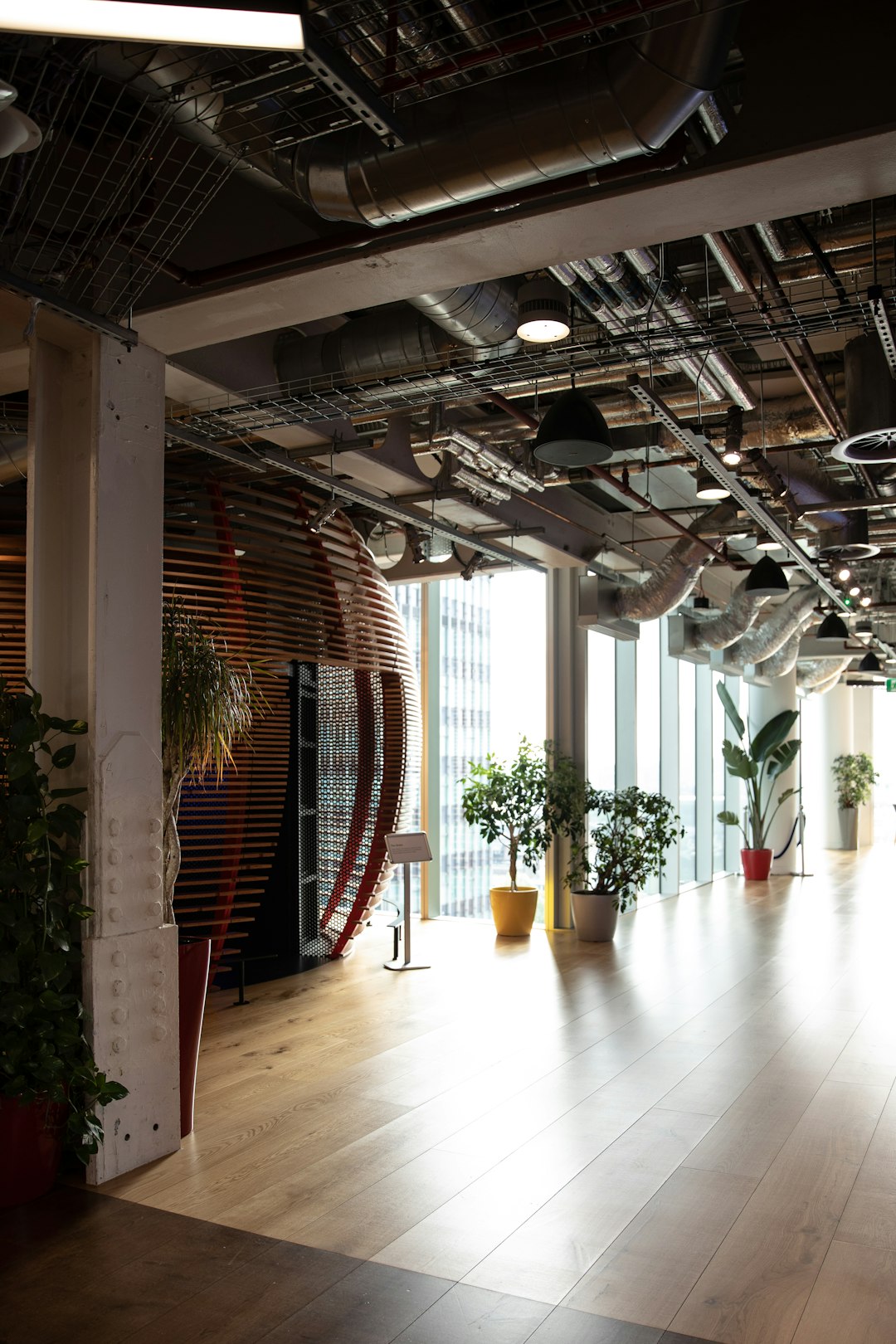 plants-near-pathway-edpoqcab3kk